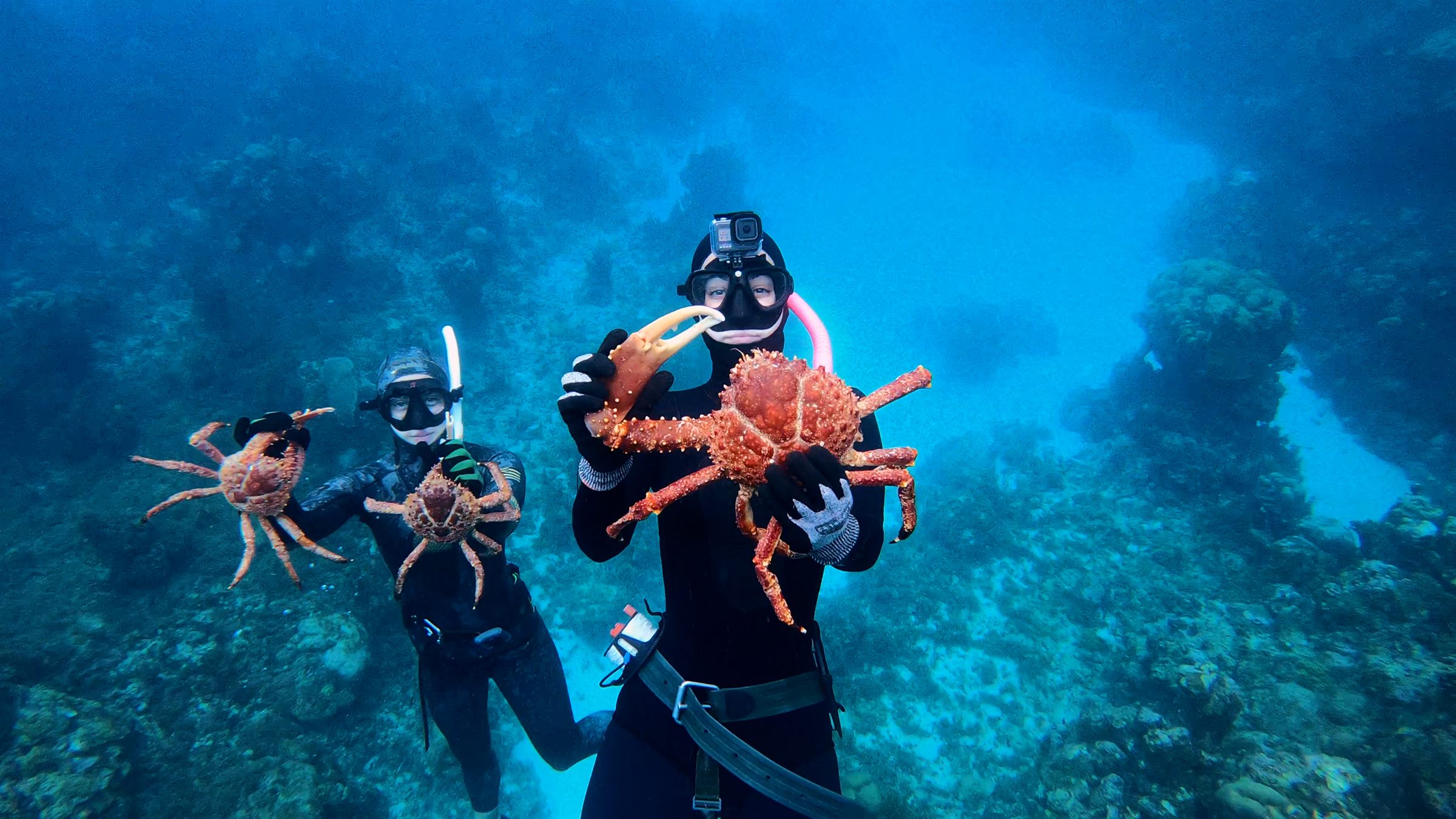 Lauren Sarasua and a fellow freediver holding clinging crabs on a reef in Jamaica