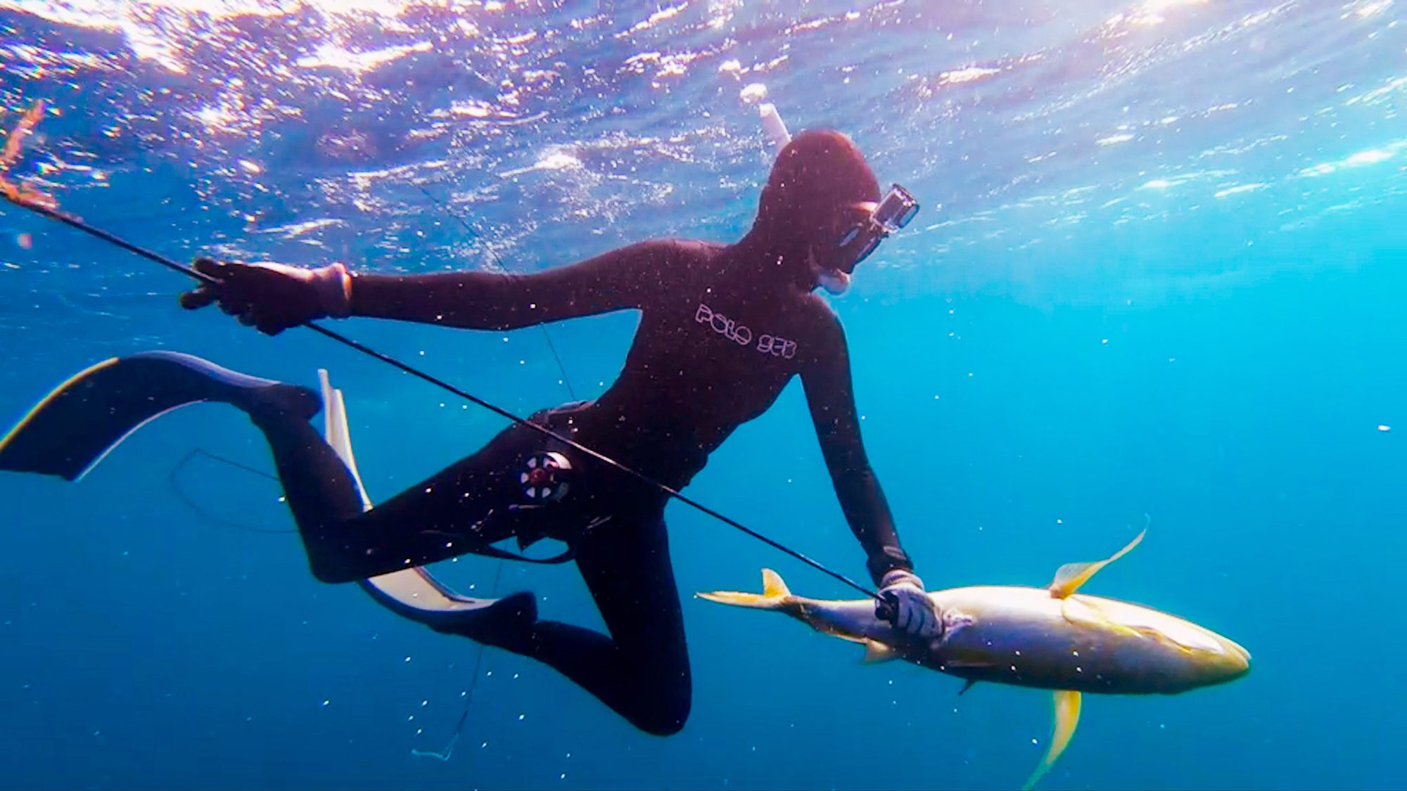 Spearfishing the Yucatán