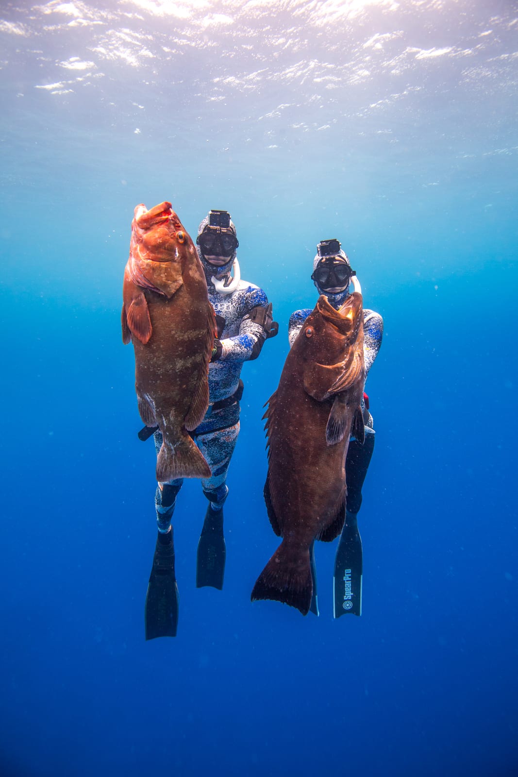 Lauren Sarasua and Jose in Belize with the groupers they shot, including Lauren’s world record black grouper