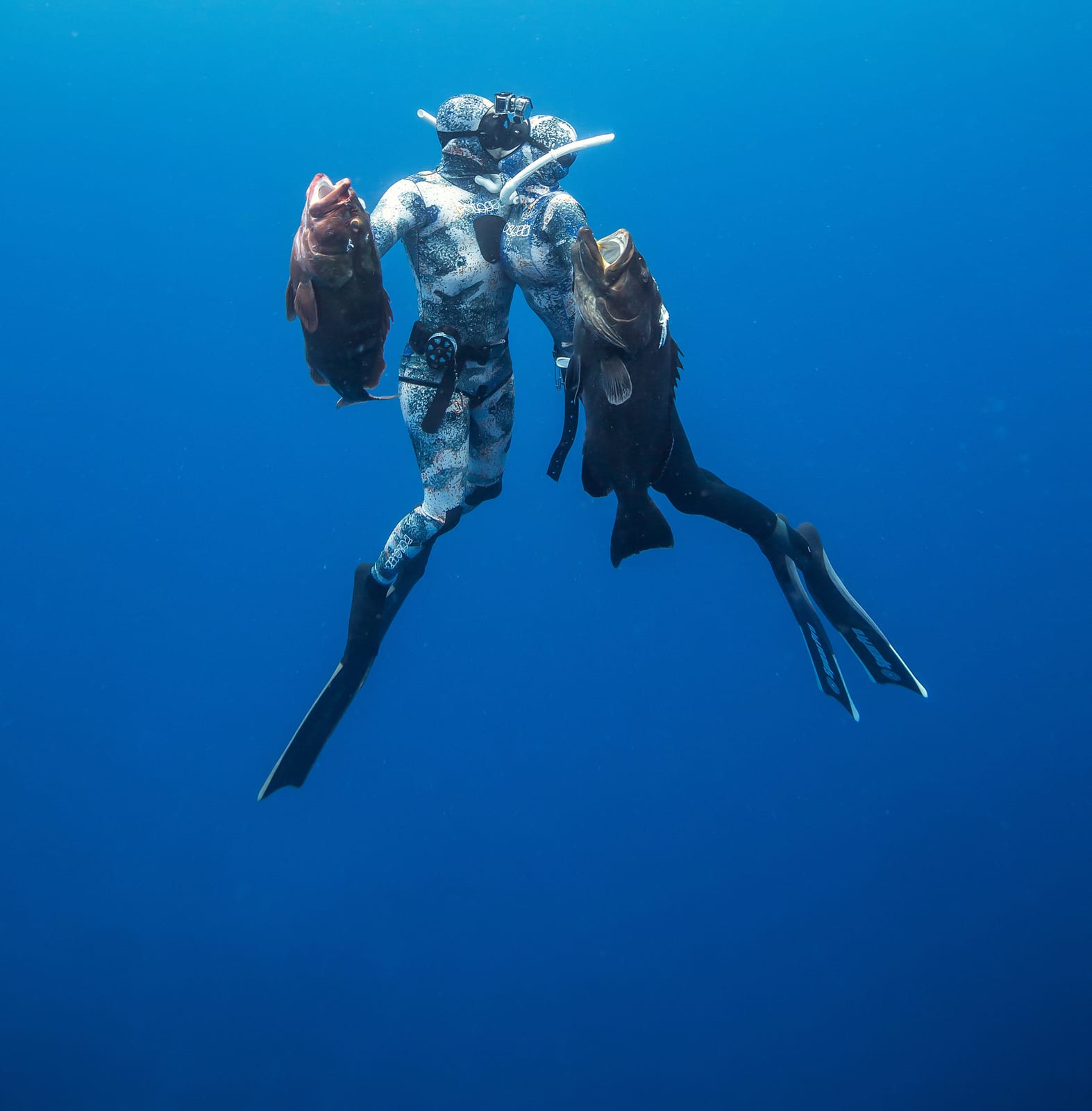 Lauren Sarasua and Jose kissing underwater in Belize, holding the groupers they shot