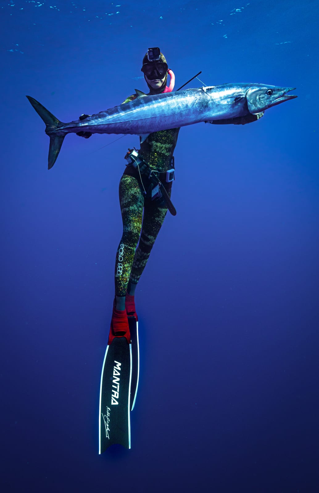 Lauren Sarasua freediving in blue water carrying a wahoo